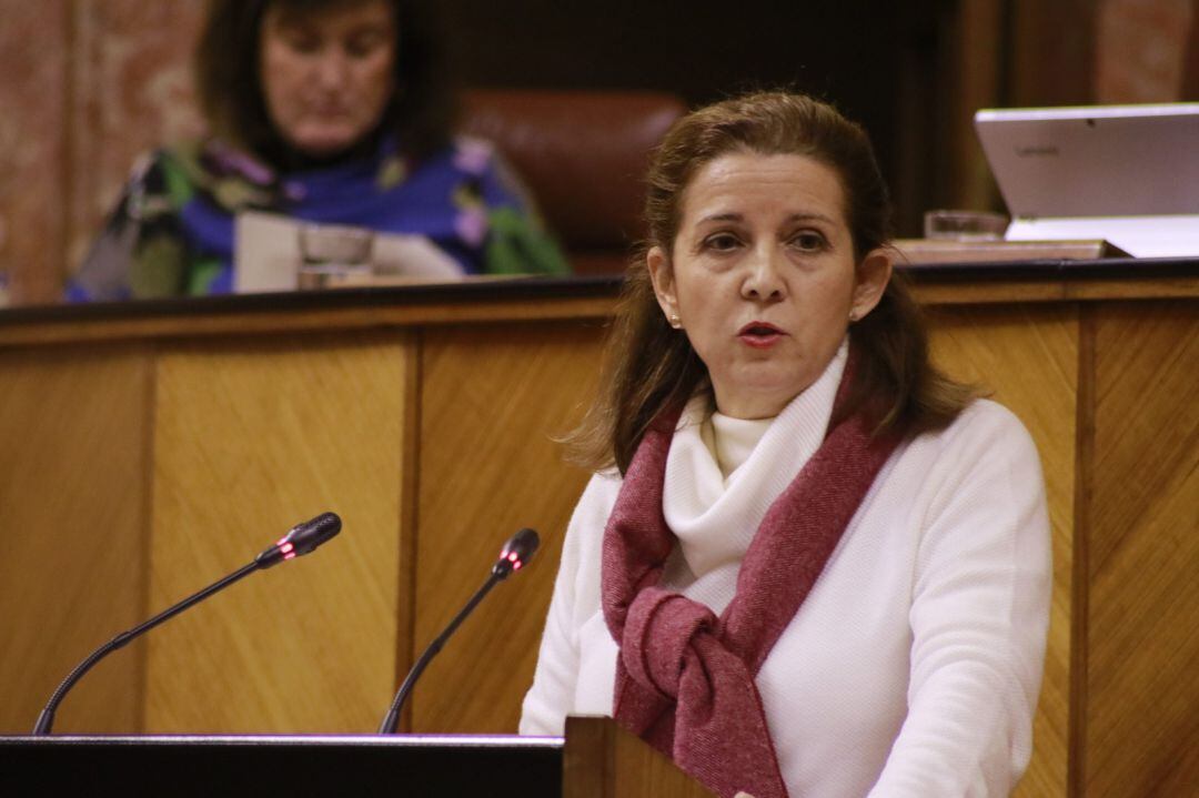 Maria José Piñero durante una intervención en el Parlamento de Andalucía