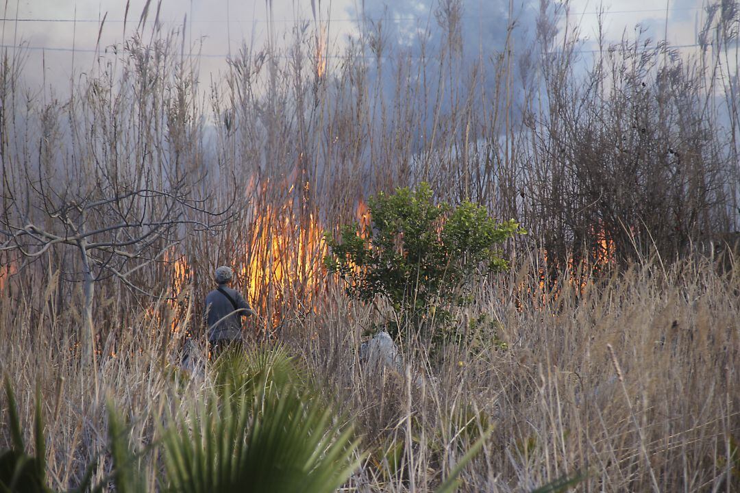 Incendio de vegetación