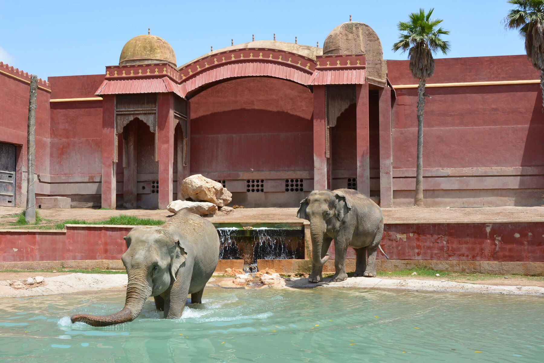 Uno de los espacios de Terra Natura con los elefantes como protagonistas