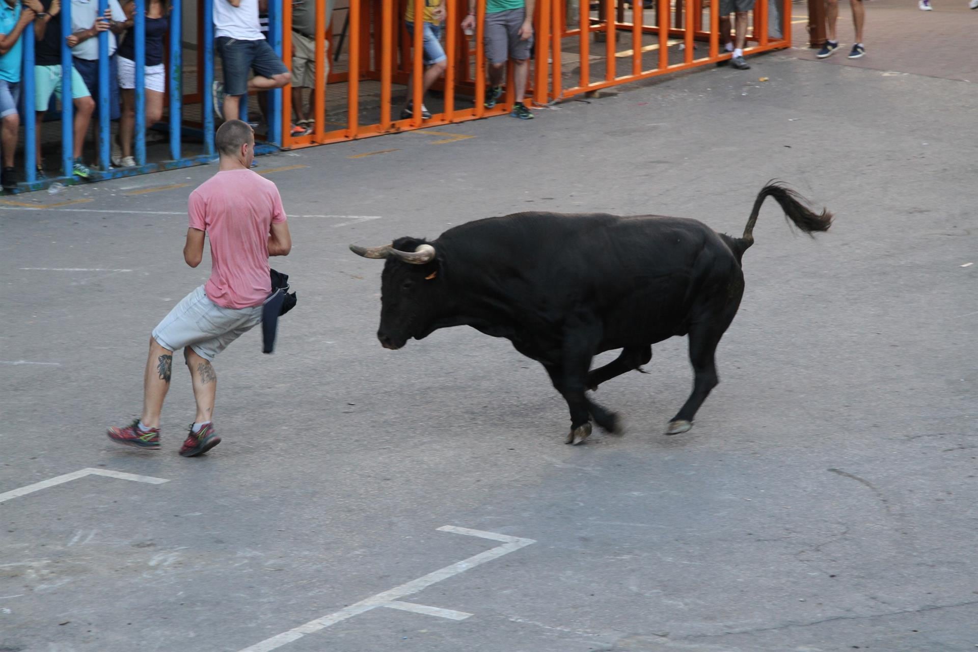 Evento de bous al carrer en una imagen de archivo.