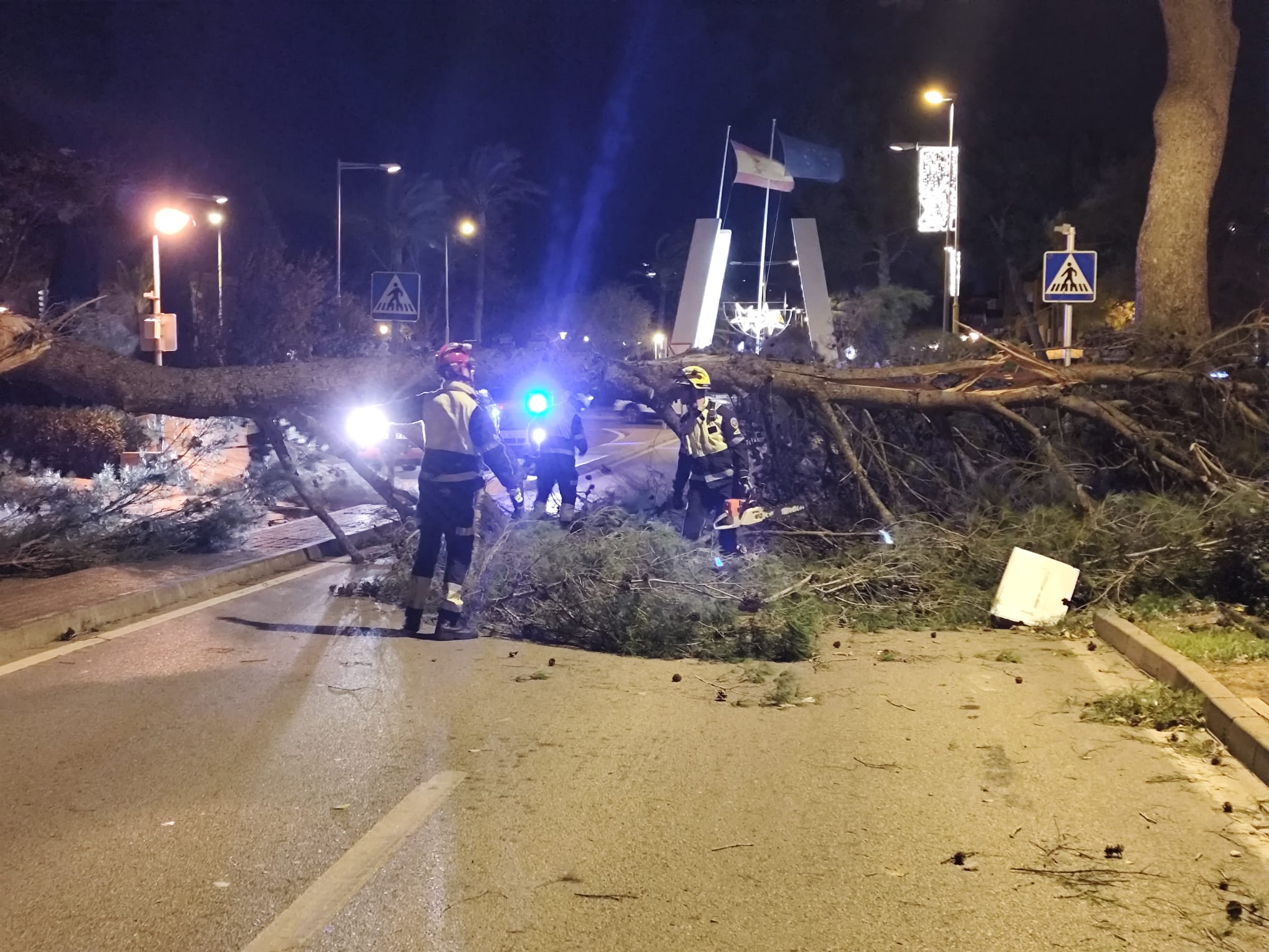 Imagen de los bomberos trabajando en la retirada de un árbol caído a la entrada de Palmanova