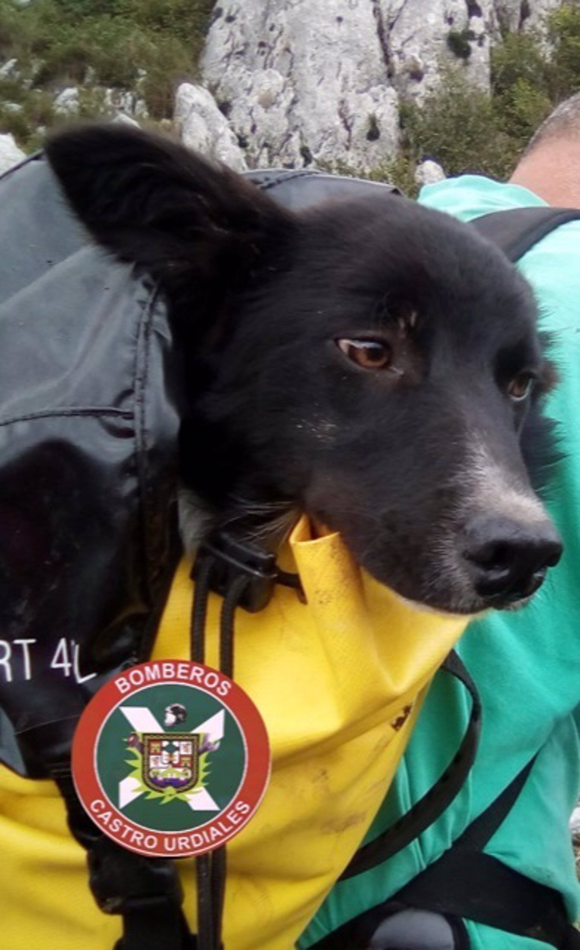 28/07/2022 Perro rescatado de una torca de 15 metros en Guriezo.

Los Bomberos de Castro Urdiales rescataron ayer por la tarde a un cachorro de perro que había caído a una torca de unos 15 metros en la zona del embalse del Juncal, en Guriezo.

SOCIEDAD ESPAÑA EUROPA CANTABRIA
BOMBEROS DE CASTRO URDIALES
