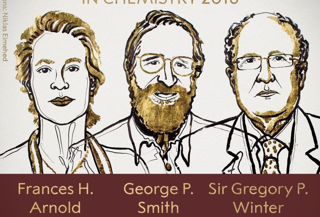 El Premio Nobel de Química 2018 ha recaído en Frances H. Arnold, George P. Smith y Gregory P. Winter.