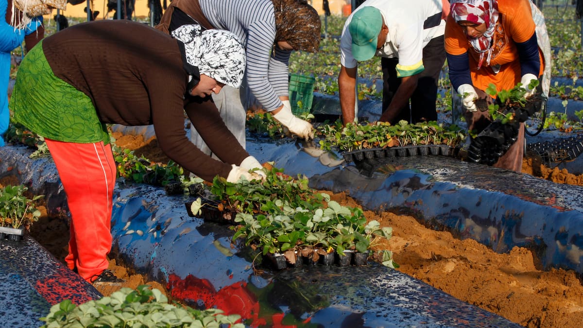 "El CSIC aportará rigor científico, diagnóstico social y un modelo de intervención basado en evidencias" - Elena Rodríguez