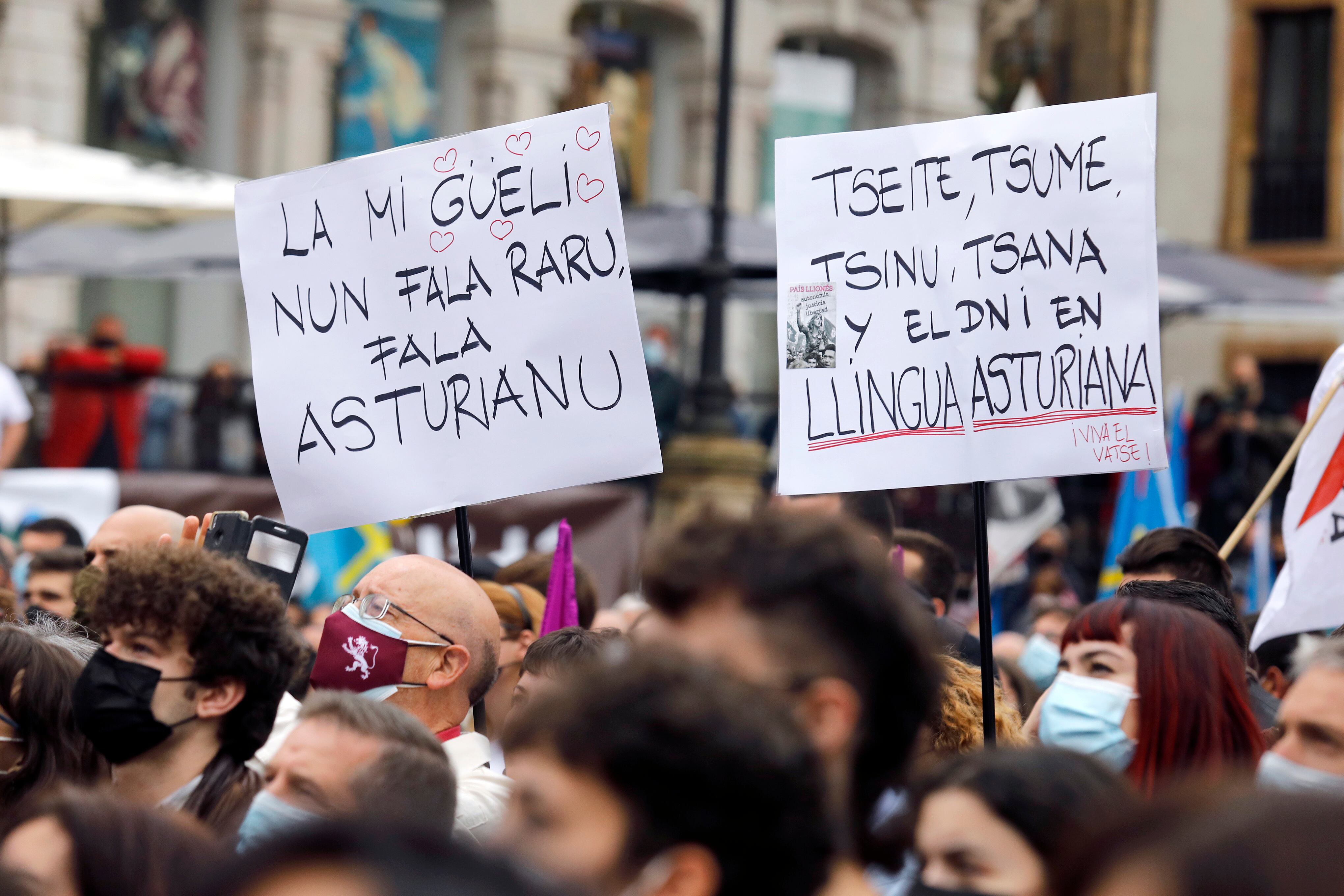 Carteles durante una manifestación en favor de la oficialidad.