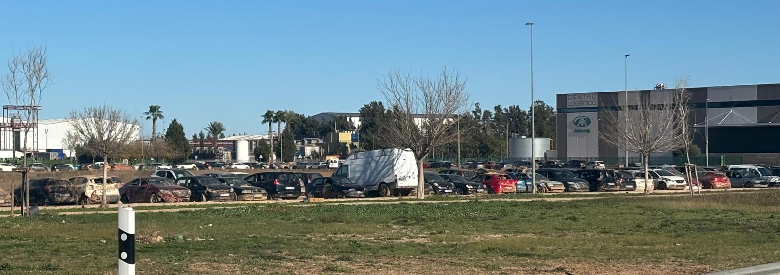 Una de las campas habilitadas en Algemesí