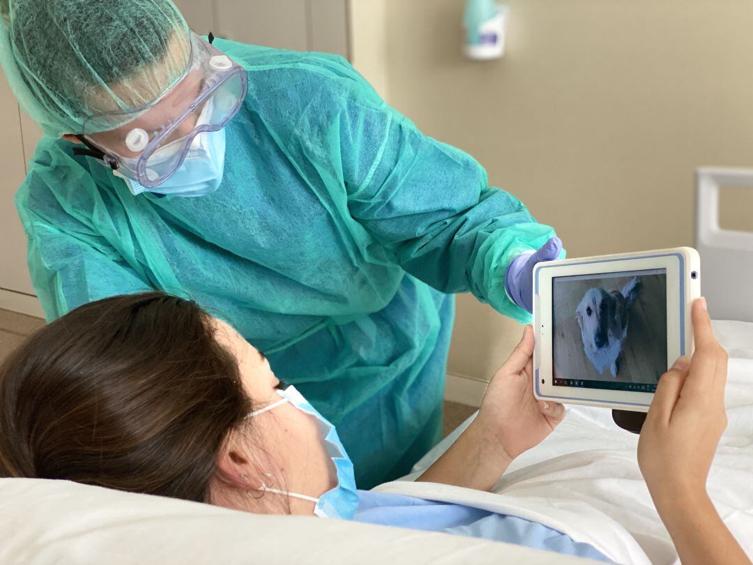 Hospital del Vinalopó