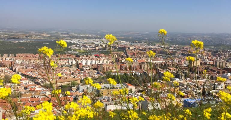 Vistas desde las alturas de parte de la ciudad de Jaén.