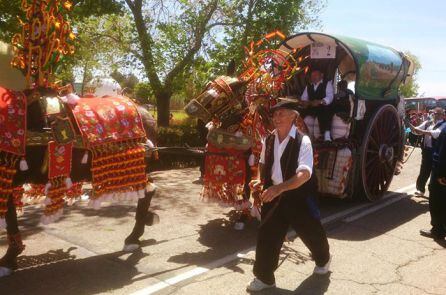 Carros y mulas adornados para la ocasión