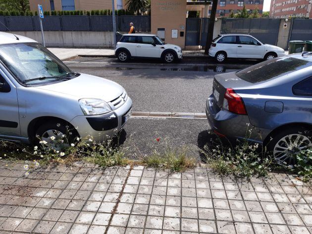 Acera llena de maleza