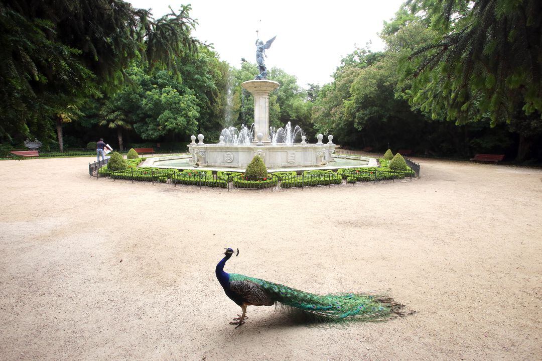 Campo grande en Valladolid