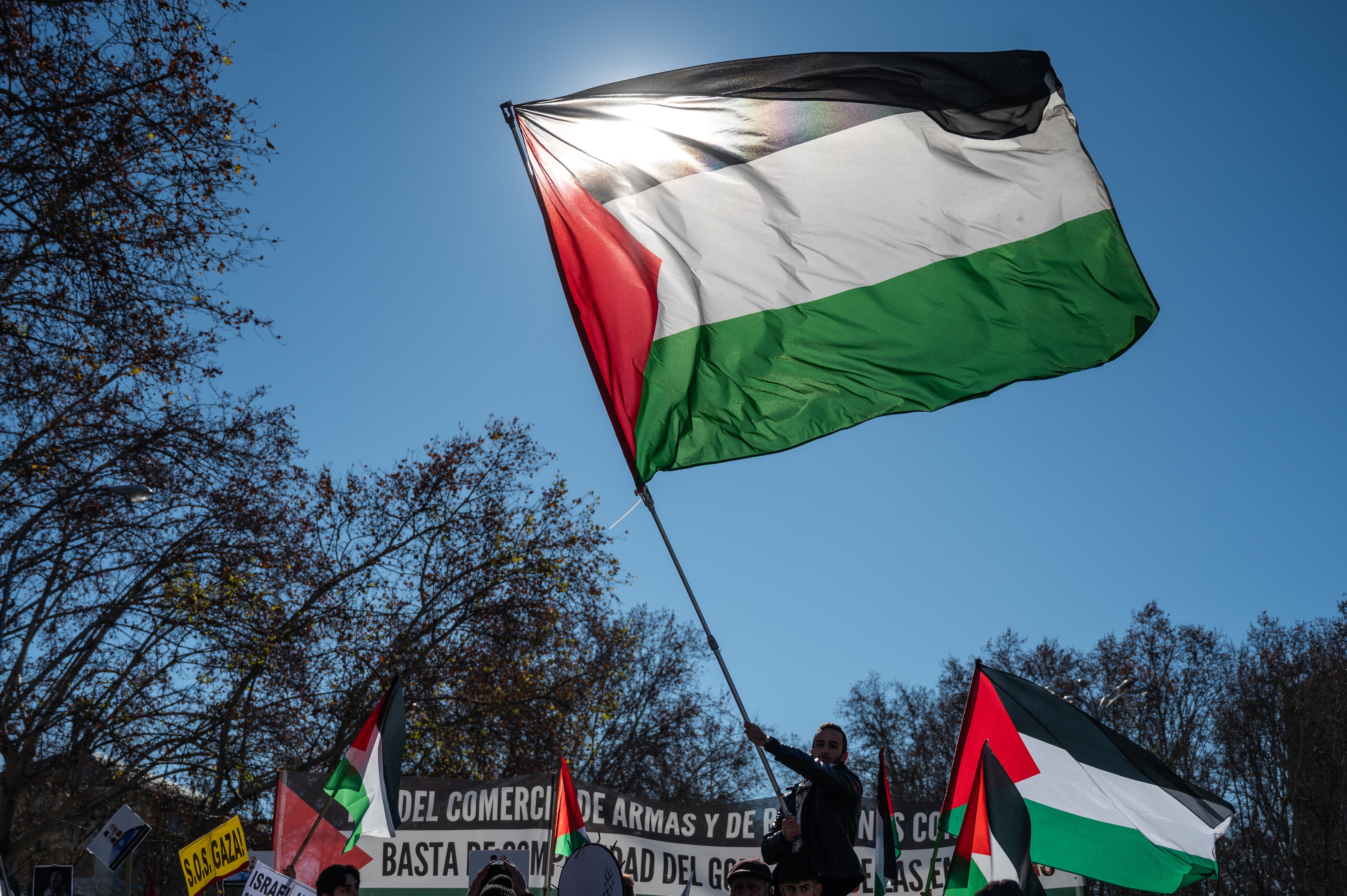 Una bandera palestina ondeando en una manifestación en Madrid el pasado mes de enero