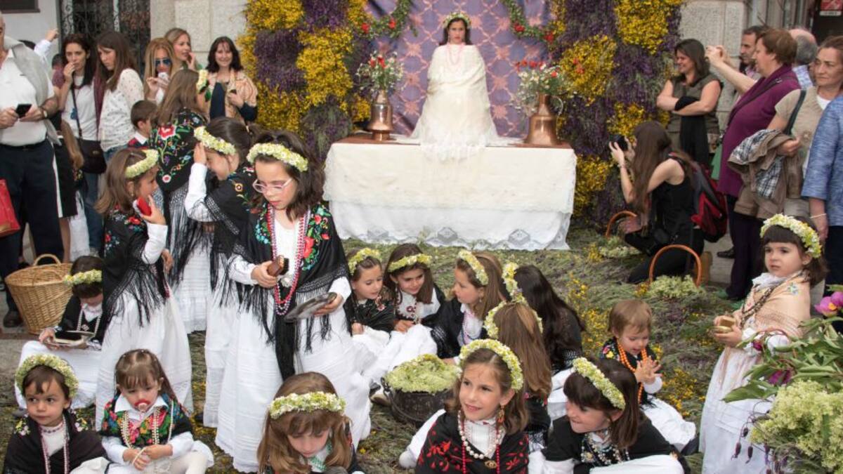 Todo listo para la tradicional Fiesta de la Maya