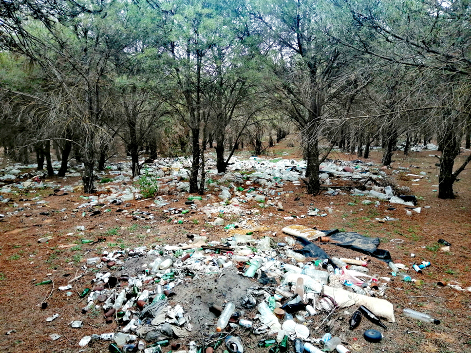 En la Zona 4 hay restos de un asentamiento de temporeros con una antigüedad de entre 6 y 8 años, aunque ahora sólo quedan restos de botellas y garrafas en su mayoría de plástico, pero también de cristal, colchones y restos de ropa.