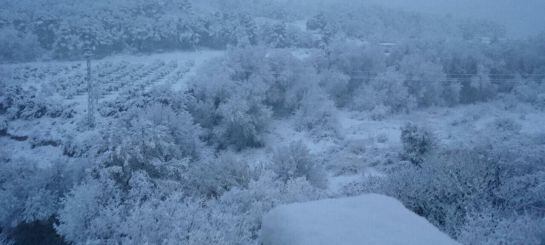 Paisatge completament nevat al terme municipal de Vimbodí - Poblet.