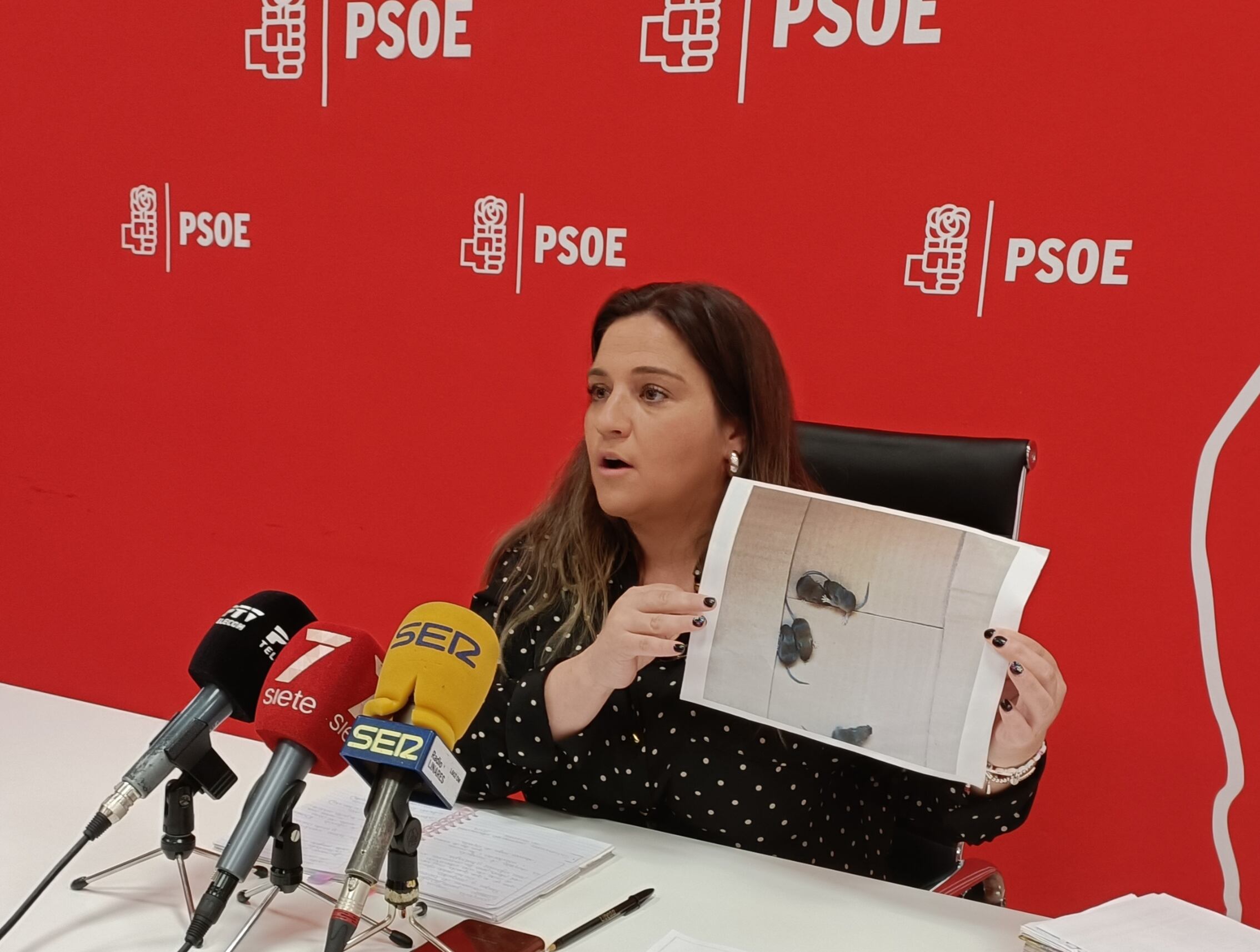 Paqui Díez muestra una fotografía de ratas en una impresora del área de Bienestar Social