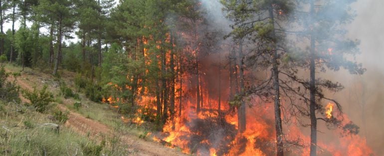 Imagen del incendio de Poyatos.