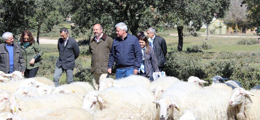 Pedro Rollán, vicepresidente del Gobierno Regional, en su visita a Sanse