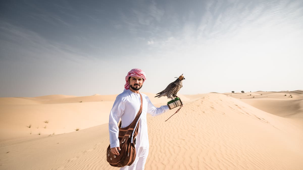 El halcón, la mascota preferida de los cataríes