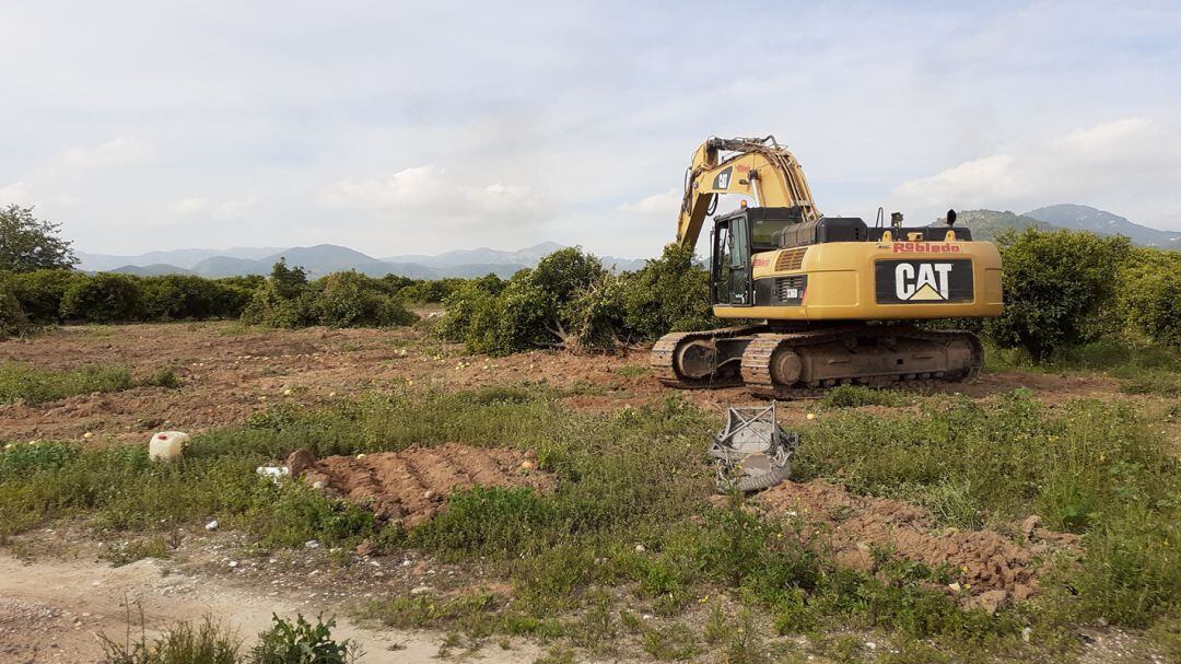 Máquinas trabajan en la nueva infraestructura para Oliva 