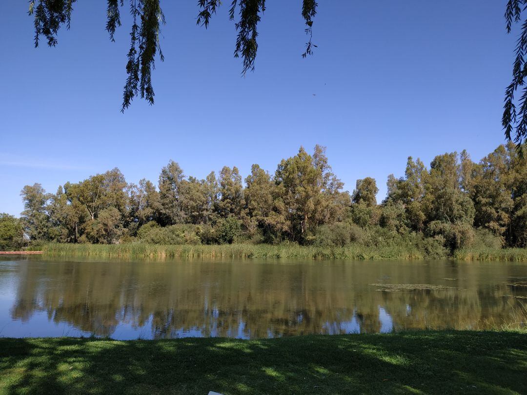 Rio Guadiana uno de los mas castigados por el camalote