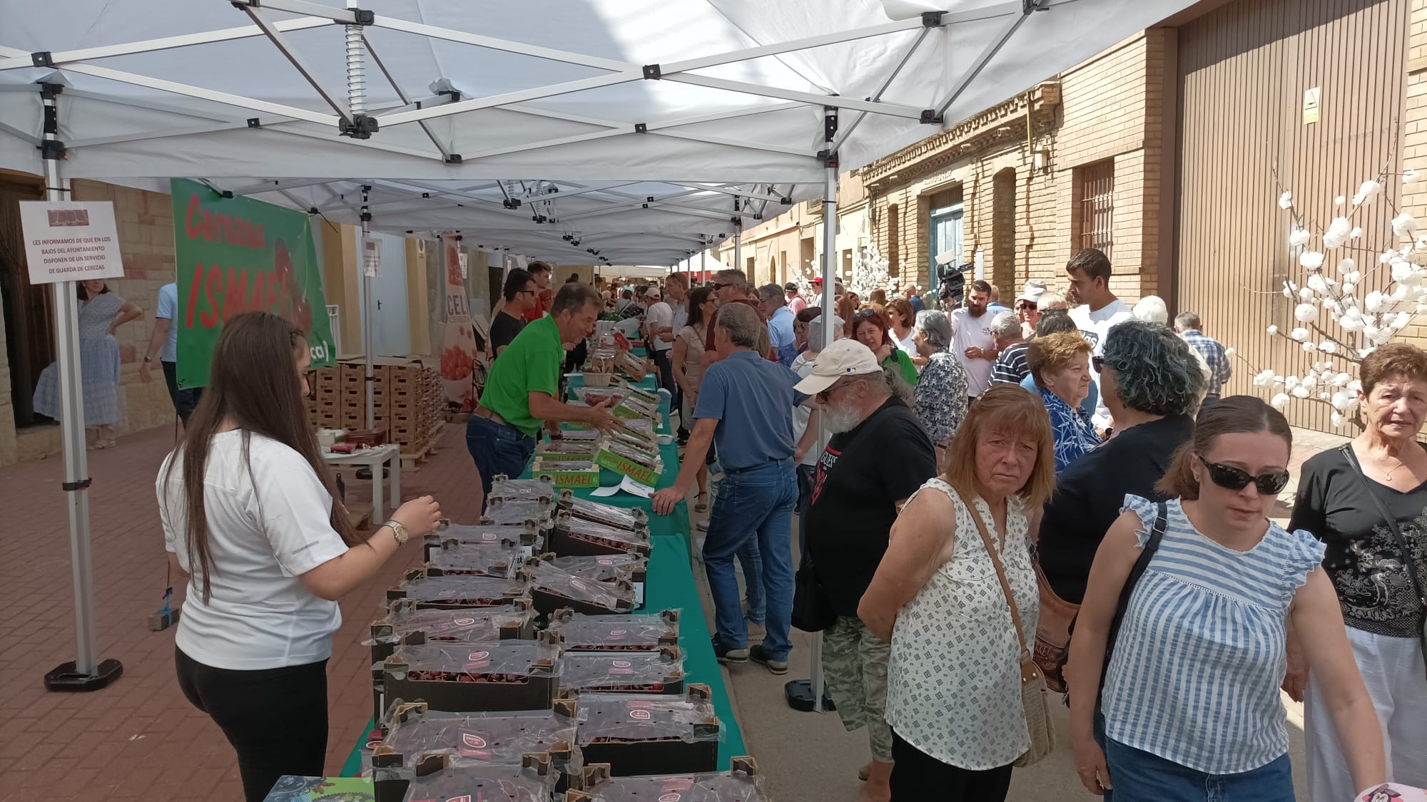 Numeroso público acudió a Bolea a la feria de la Cereza