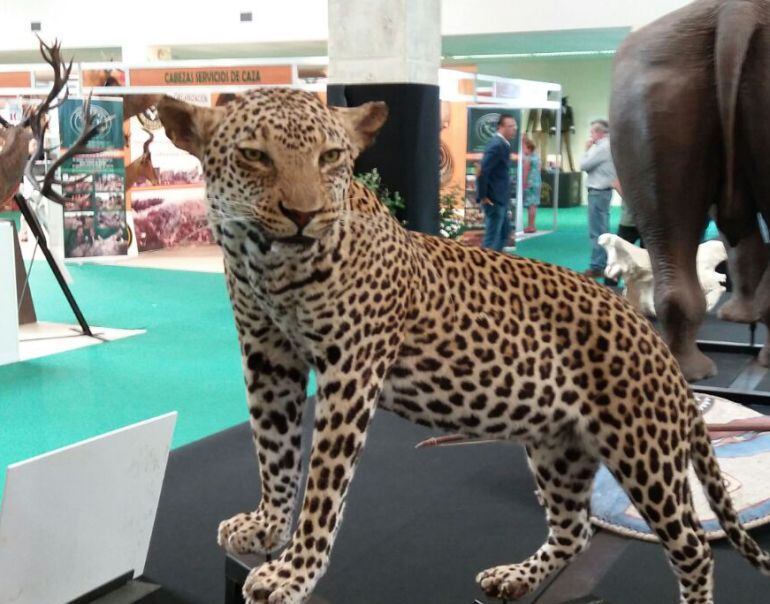 Imagen captada en la edición del pasado año de FECIRCATUR