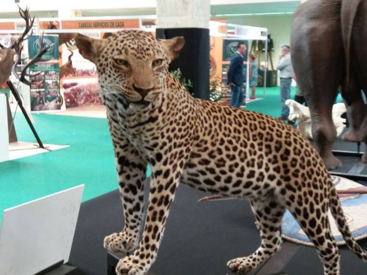 FECIRCATUR abre sus puertas con un extenso programa de actividades