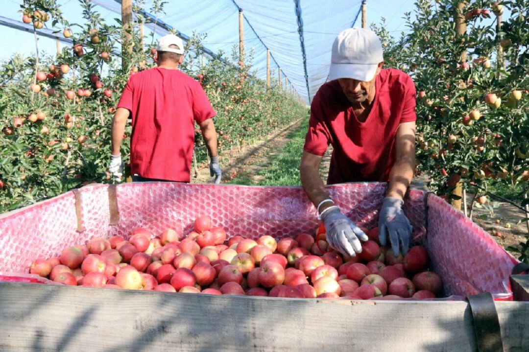 Treballadors estrangers