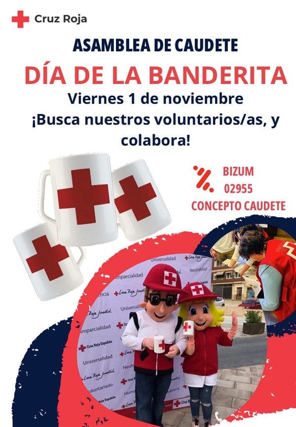 Cartel día de la banderita