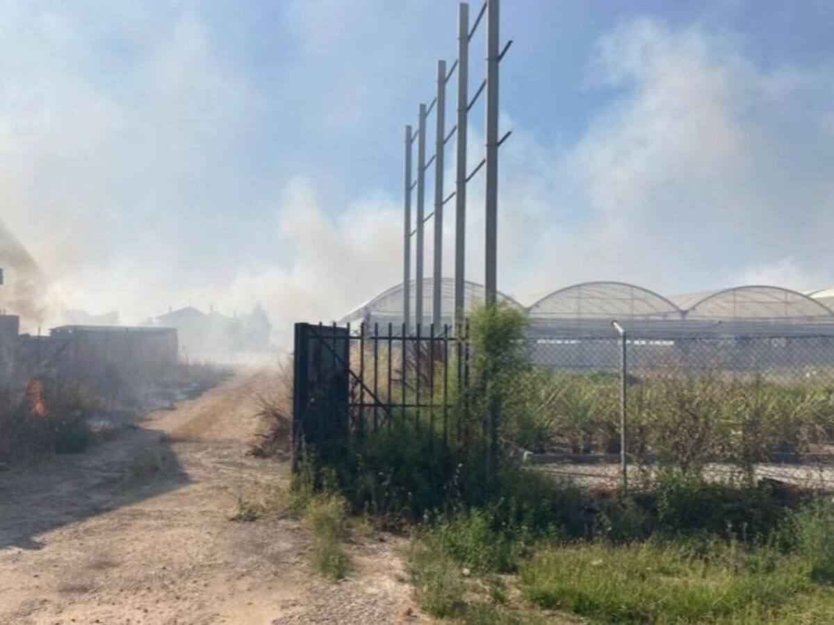 Se reactiva el fuego en la zona del Soto de Medinilla y el Bosque de los Sueños