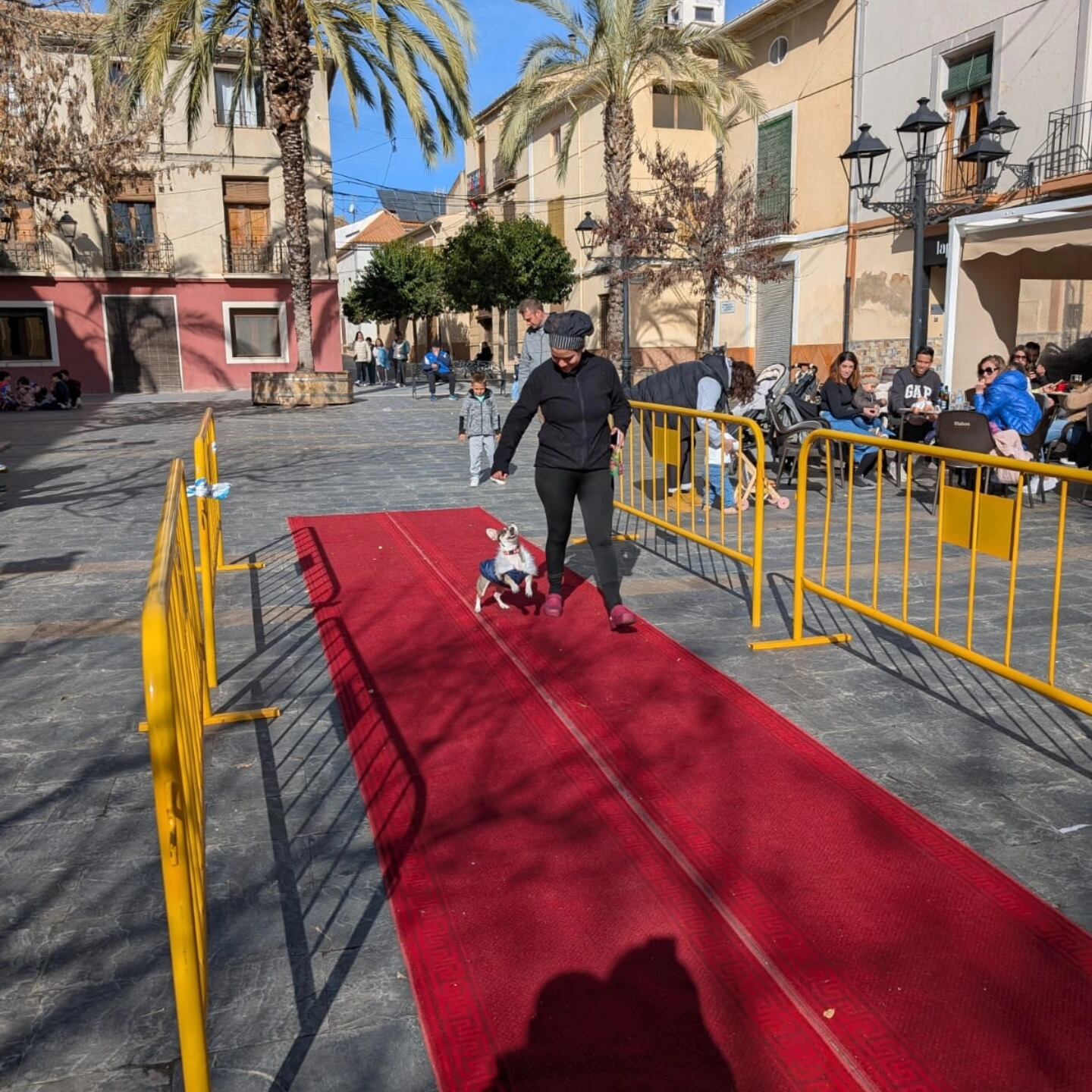 Pasarela de animales en Beneixama