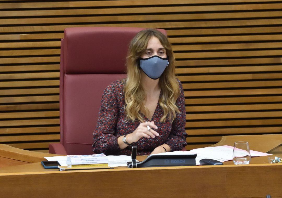 La Diputada Cristina Rodriguez