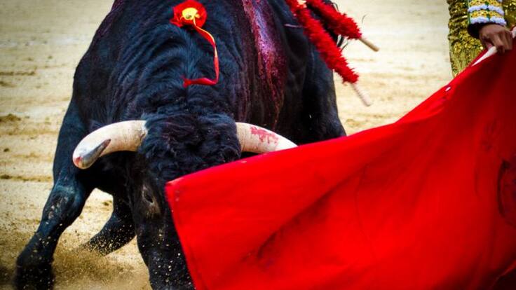 Felipe Mansilla, concejal de Asuntos Taurinos del Ayuntamiento de Colmenar Viejo, sobre la feria de Nra. Señora de los Remedios