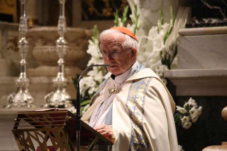 El cardenal Antonio Cañizares