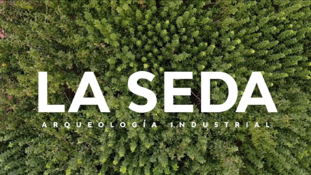 Eduardo Balanza: "La bandera de Murcia debería ser una morera y un gusano de seda"