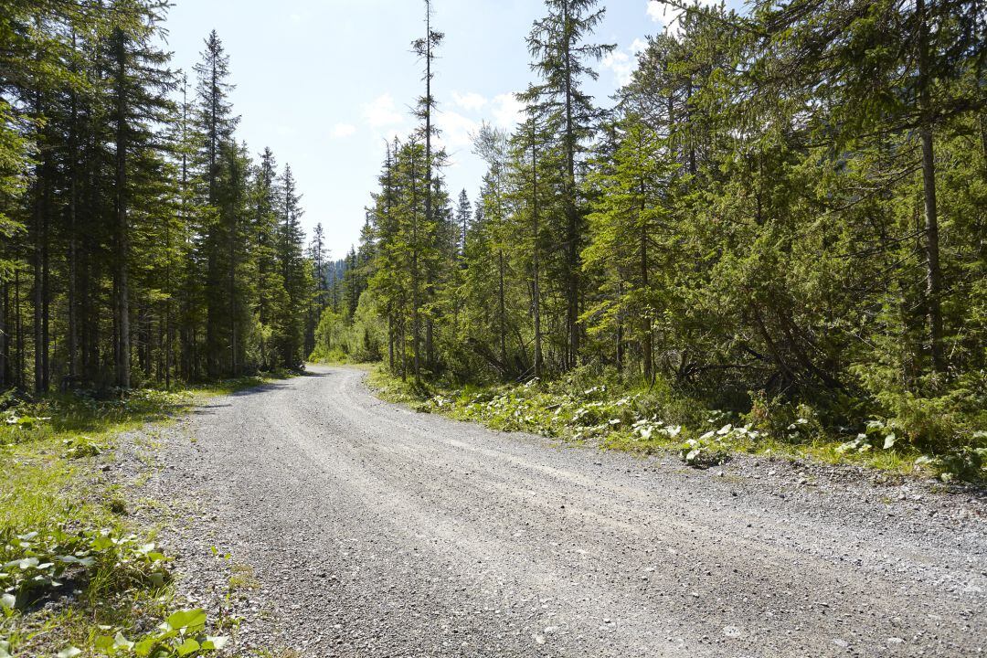 Mejoras en varios caminos rurales de Palencia