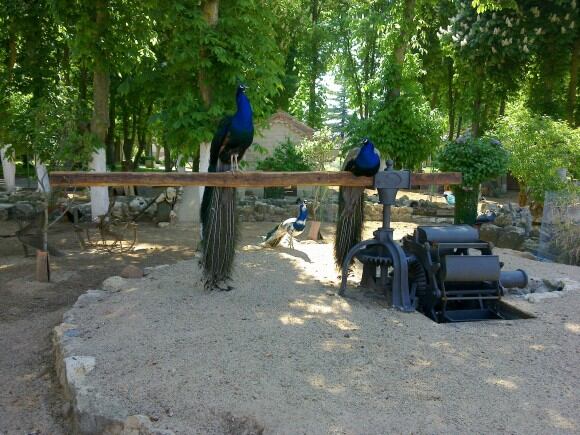 Zoo de Herrera de Pisuerga