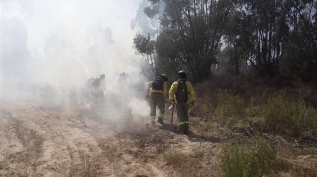 Trabajadores del Infoca sofocan un incendio.