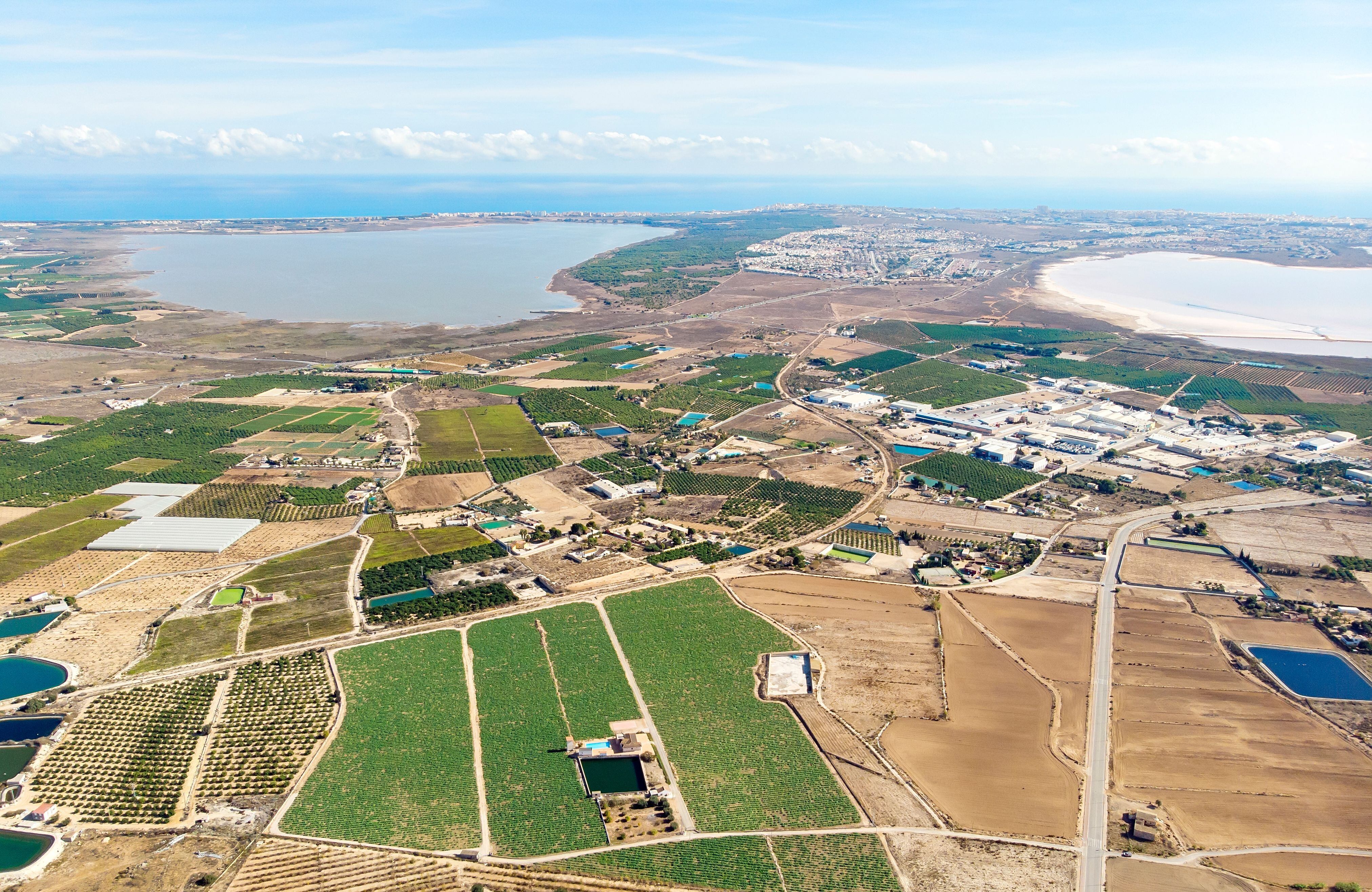 Vista aérea de Los Montesinos, en la Vega Baja. Foto: Getty Images