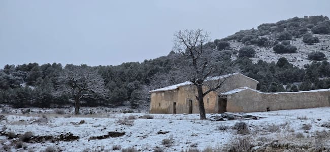 Nevada en Puerto Alto en Cañada de la Cruz de Moratalla