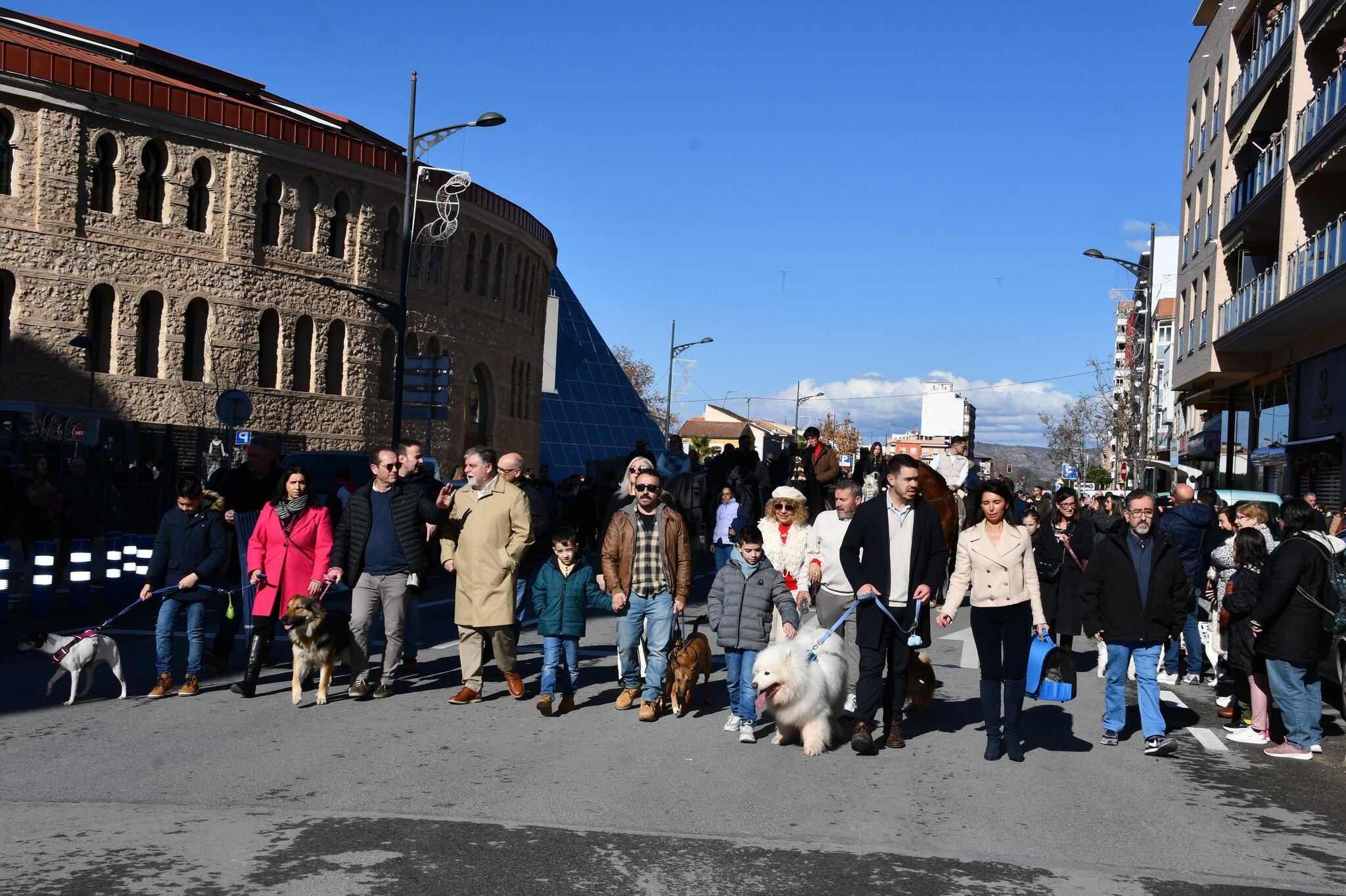 Desfile y bendición animales San Antón Villena