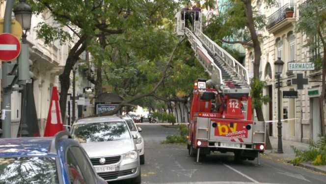 Bomberos del Ayuntamiento saneando un árbol en la calle Sorní de Valencia
