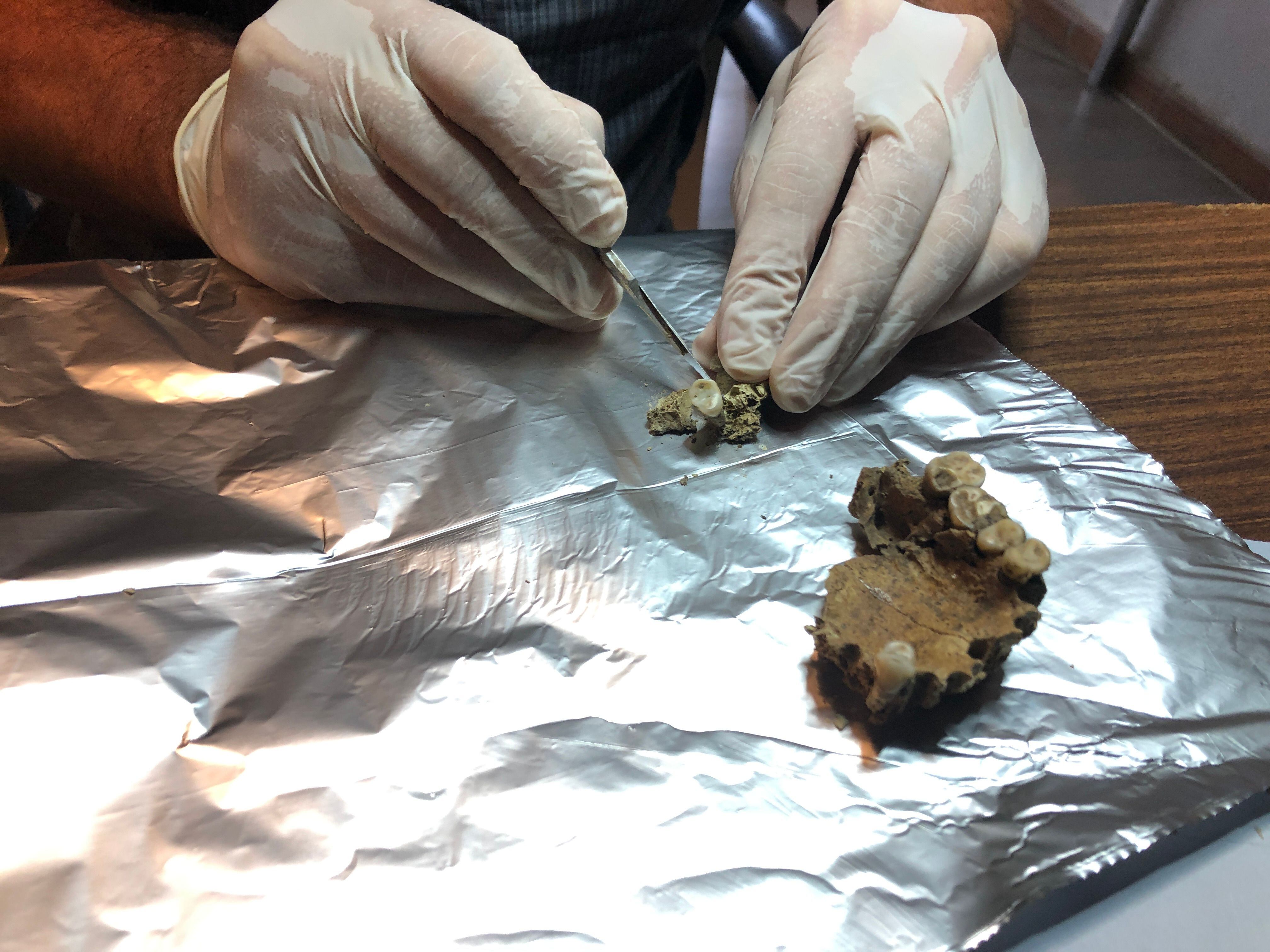 Investigadores analizando muestras fenicias