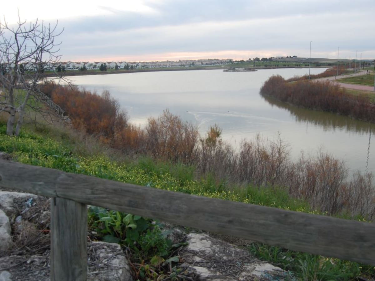 Adjudicada la construcción de cuatro espacios de esparcimiento canino