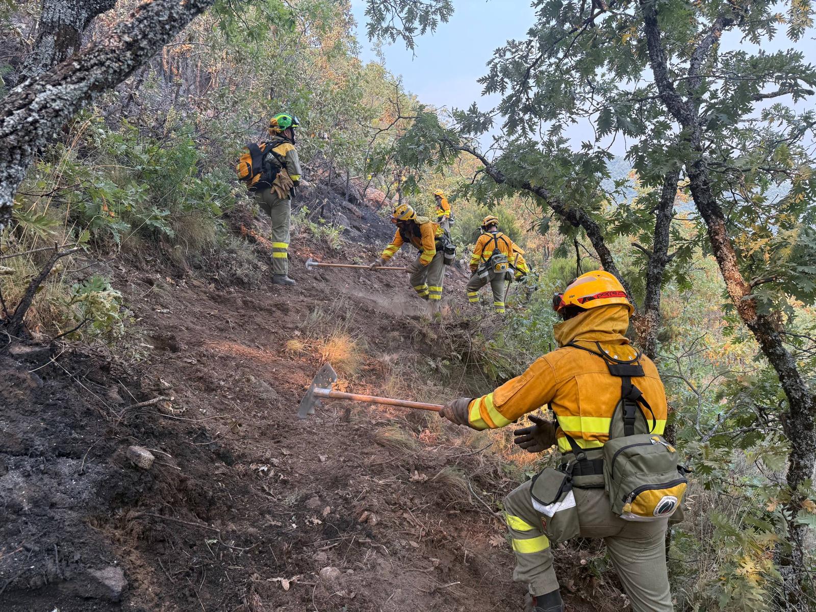 Casi la mitad de los bomberos forestales de Castilla y León pertenecen a empresas privadas