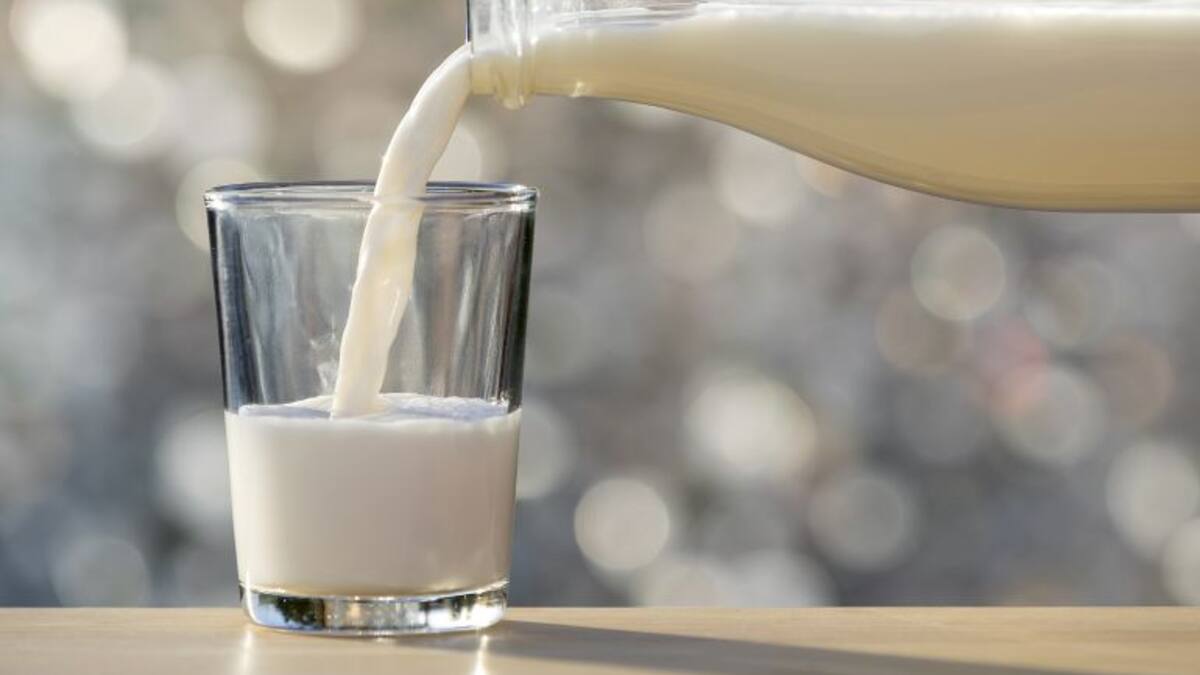 El sector productor de leche ecológica denuncia bajadas de precios de 5 céntimos en origen