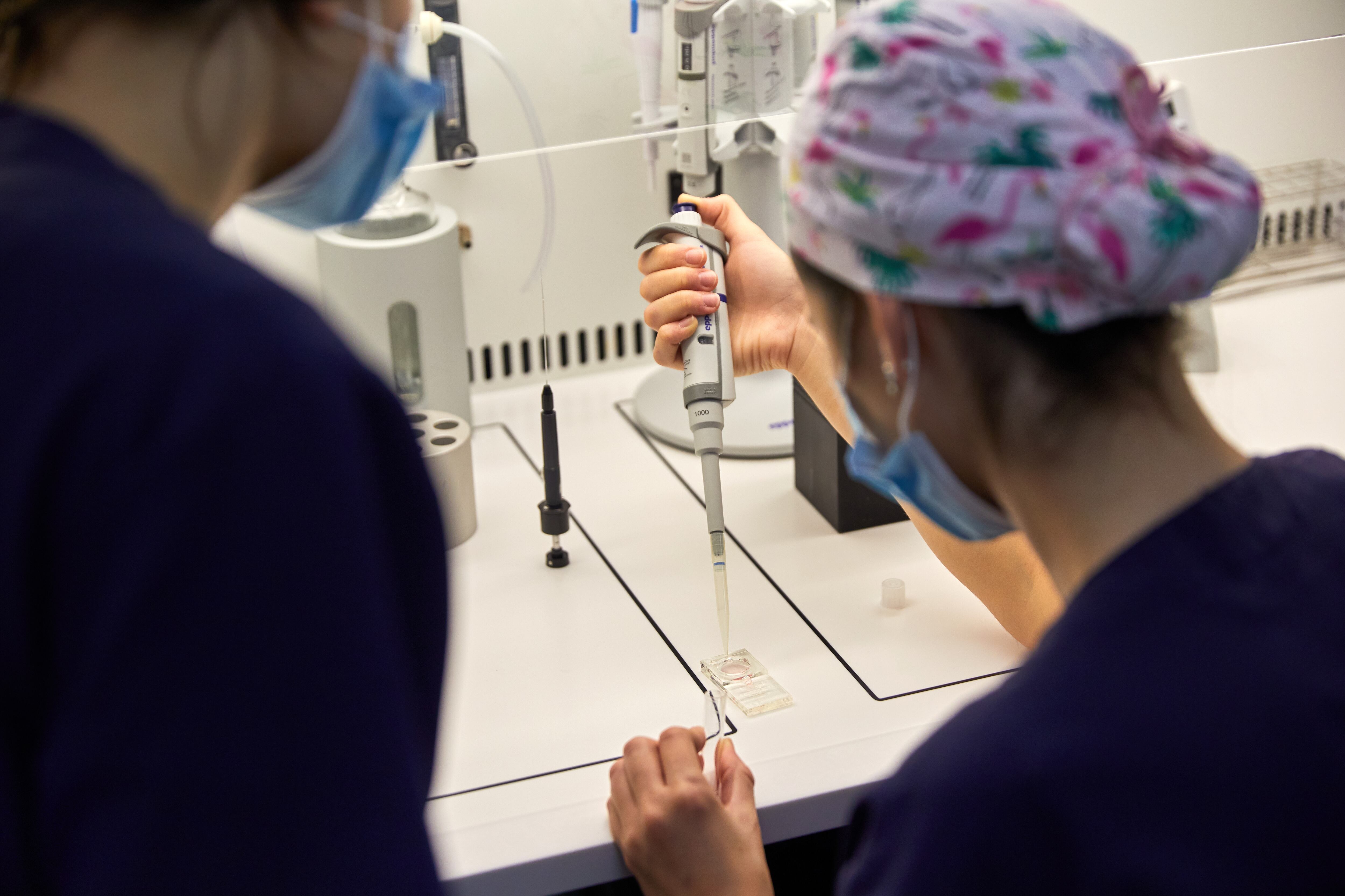 Congelación de óvulos