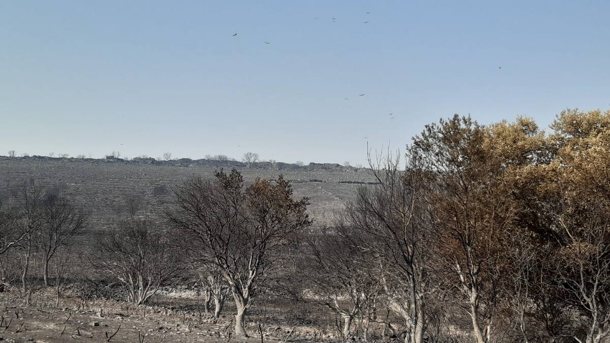 La Fiscalía archiva la querella contra la Junta de Castilla y León por el primer incendio de la Sierra de la Culebra