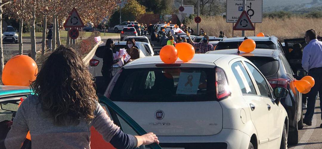 &#039;Marea naranja&#039; de vehículos en protesta por la LOMLOE.